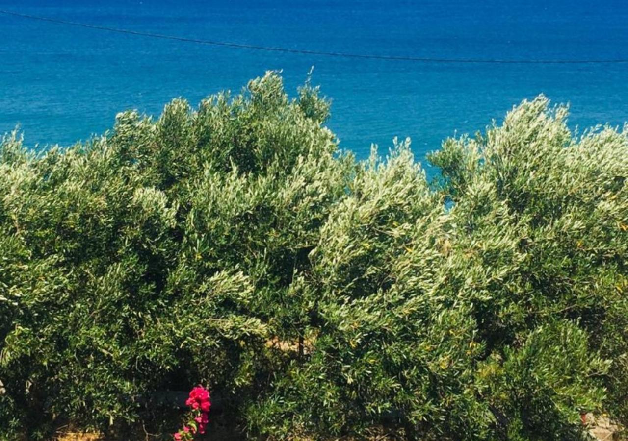 Aris House - Cretan Hospitality Leilighet Ágios Nikólaos Eksteriør bilde